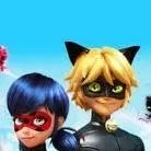 chat with ai character: miraculous 