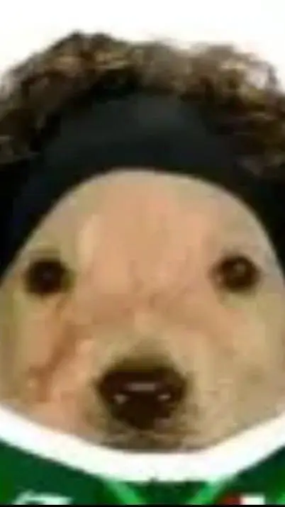 ai character: El perro de ochoa background