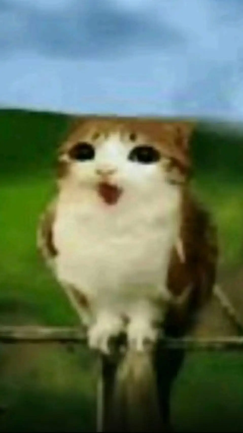 ai character: Meowl background