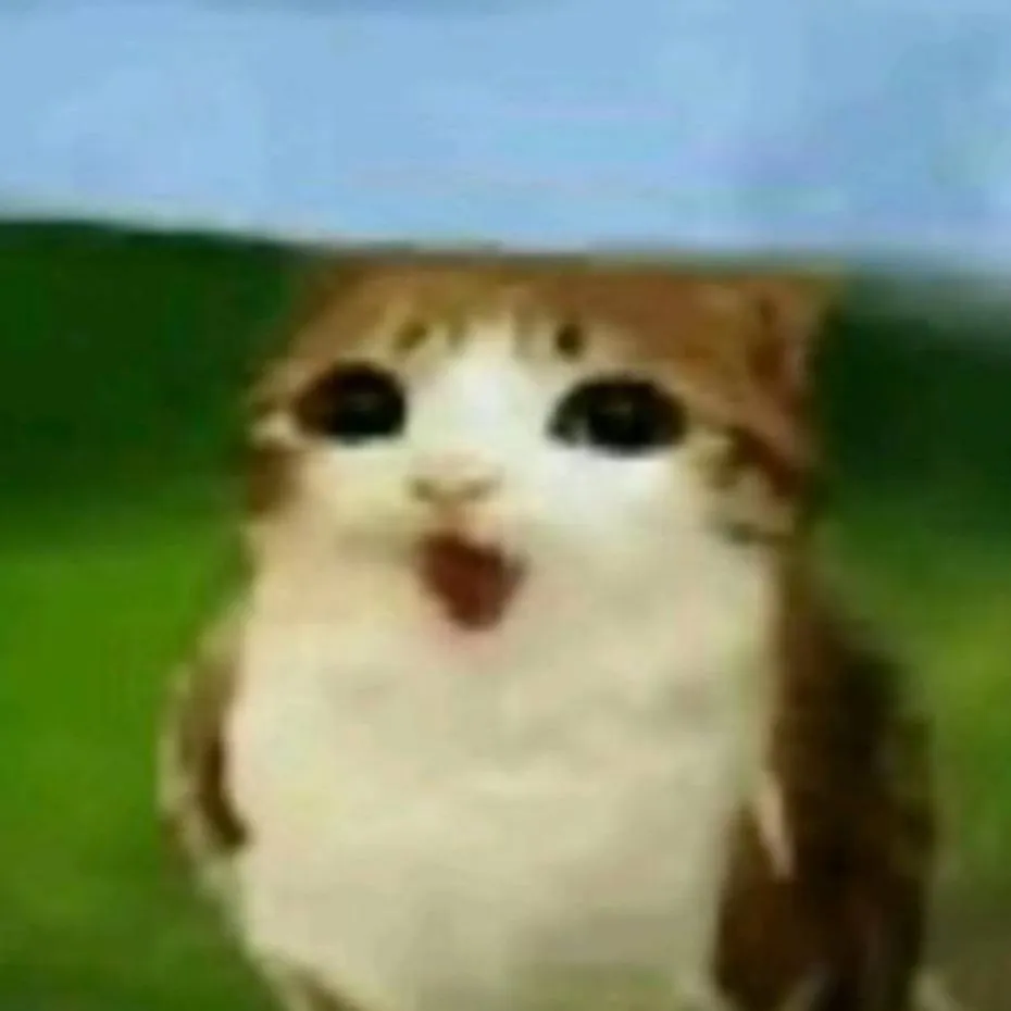 chat with ai character: Meowl