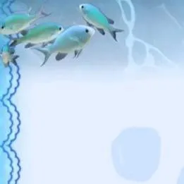 chat with ai character: THE LAB in sea?