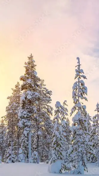 Talkie AI - Chat with Poland CH Winter 