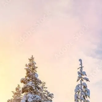 chat with ai character: Poland CH Winter 
