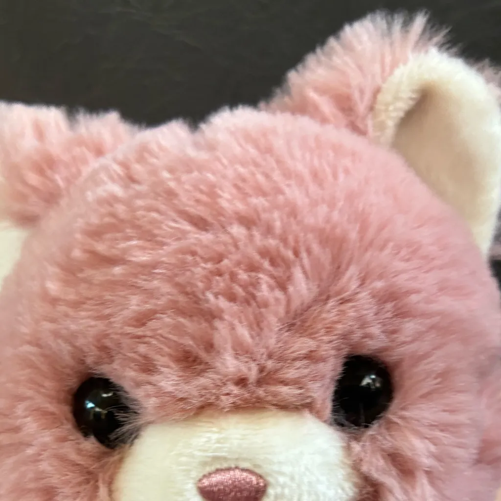 chat with ai character: {* cute Amy*}