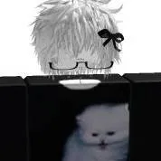 chat with ai character: kai