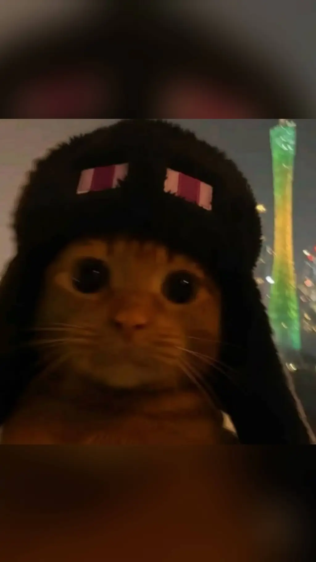 ai character: GATO XD background