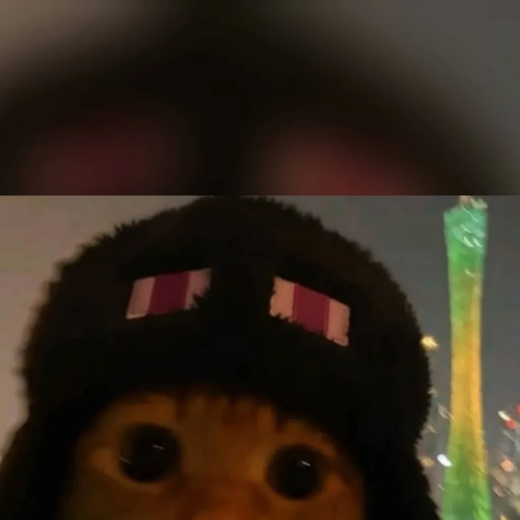 chat with ai character: GATO XD