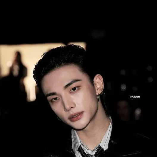 chat with ai character: Hwang Hyunjin
