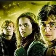 chat with ai character: Harry Potter 7 pt1