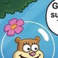 chat with ai character: Sandy Cheeks