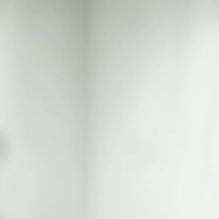 chat with ai character: White Room