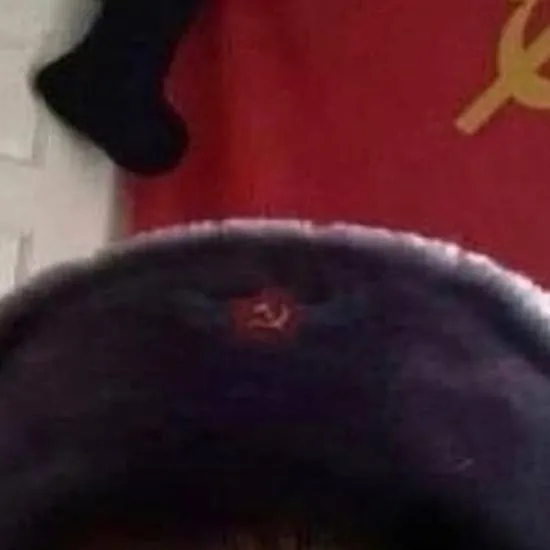 chat with ai character: Soviet Cat
