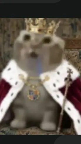 ai character: Gata Emperatriz background