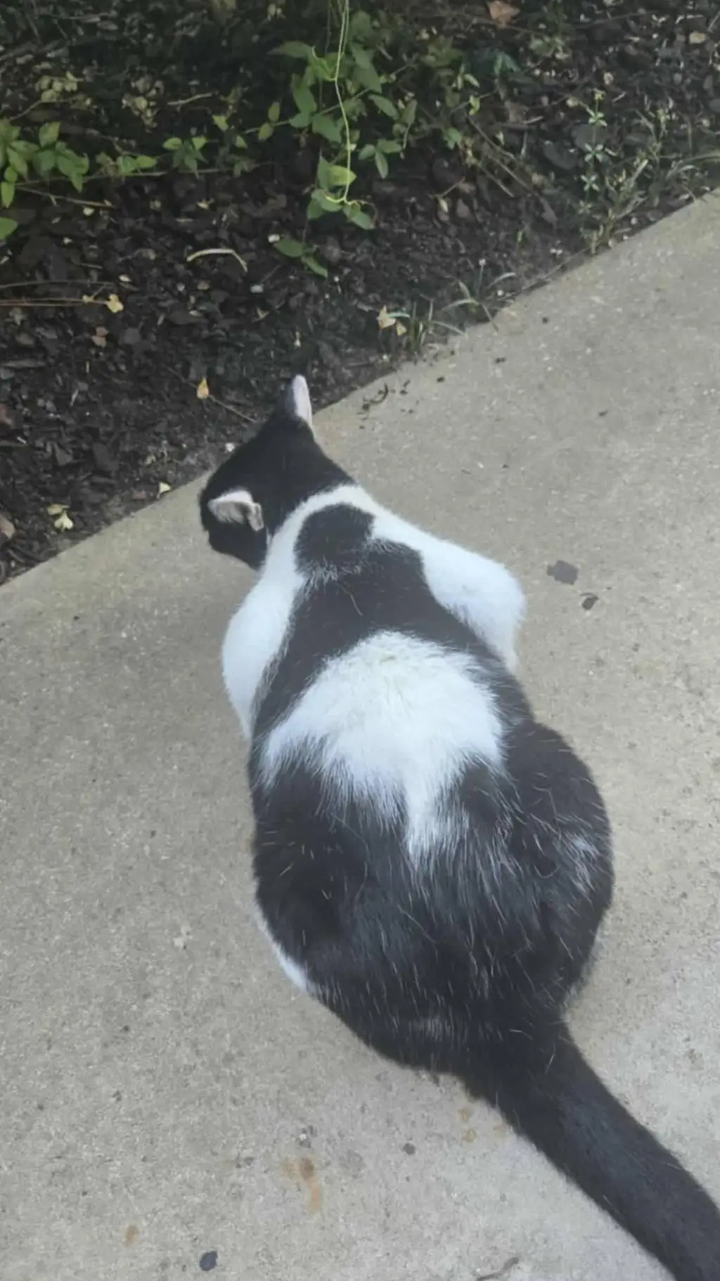 ai character: The Fast food rest background