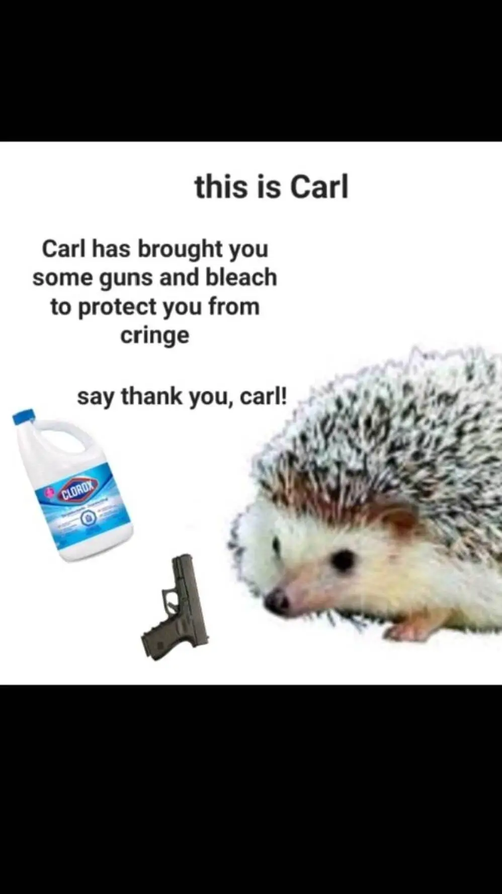 ai character: carl background