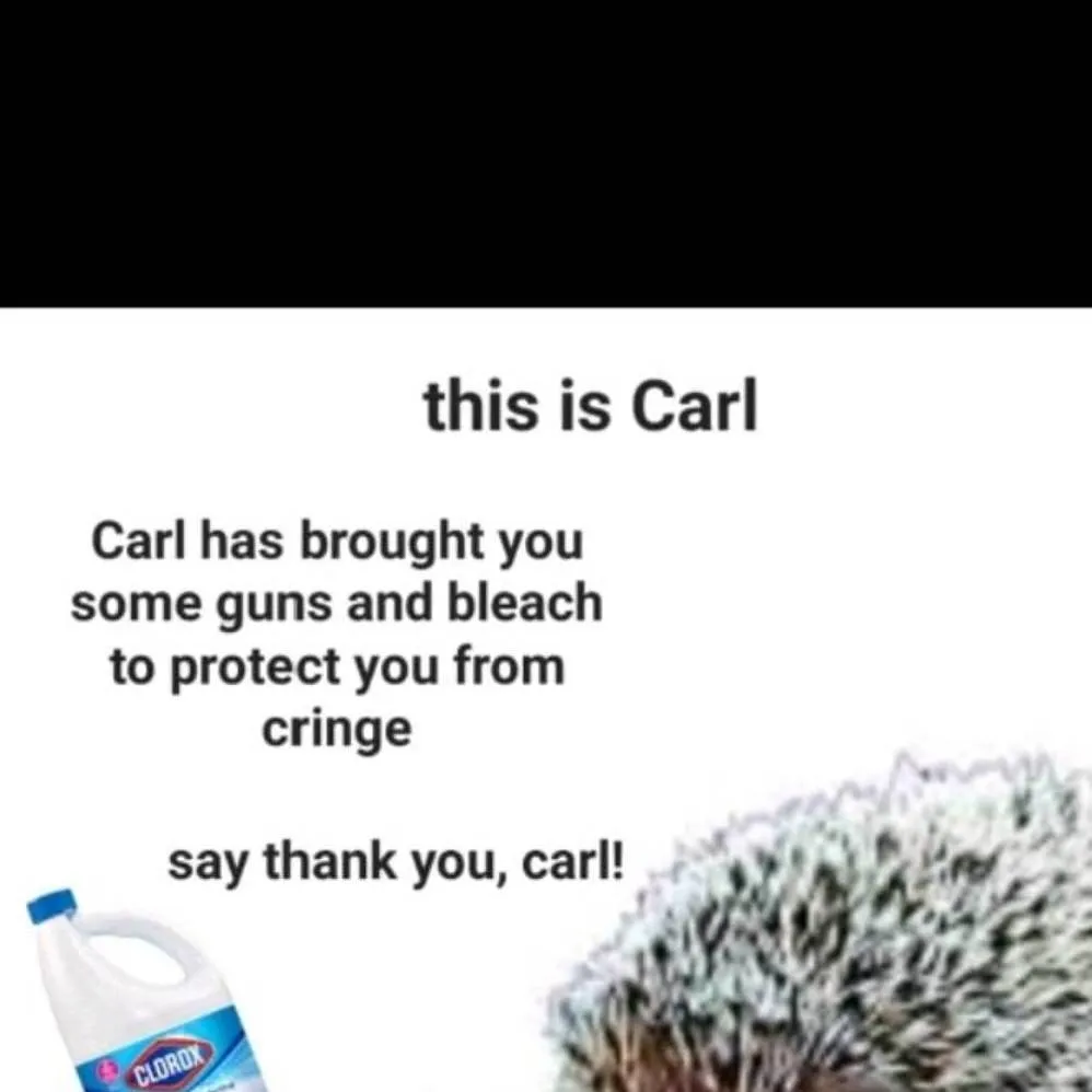 chat with ai character: carl