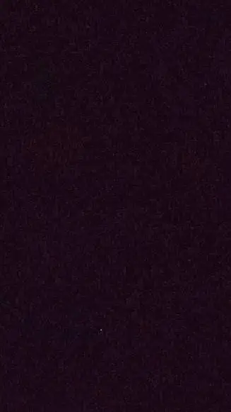 Talkie AI - Chat with Vox 