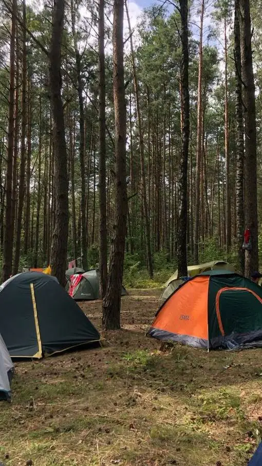 Talkie AI - Chat with Genshin: CampTime!