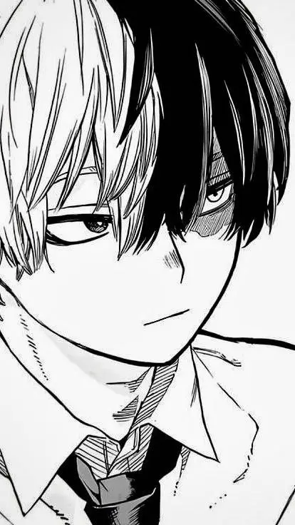 ai character: {Shoto Todoroki} background