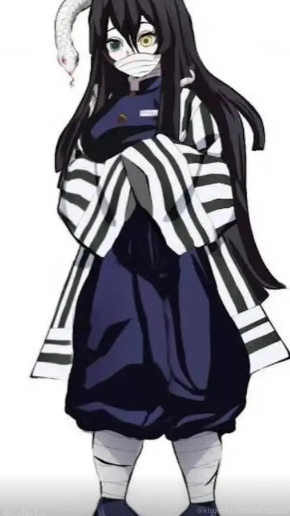 ai character: Obanai's twin sis  background