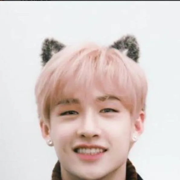 chat with ai character: 🐺Bangchan🐺