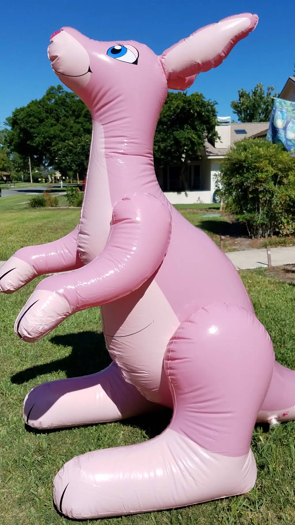 Talkie AI - Chat with Inflatable Kangaro