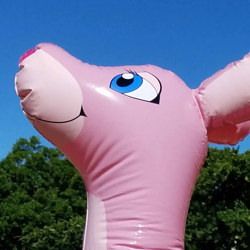 chat with ai character: Inflatable Kangaro