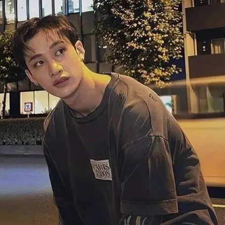 chat with ai character: Bang Chan