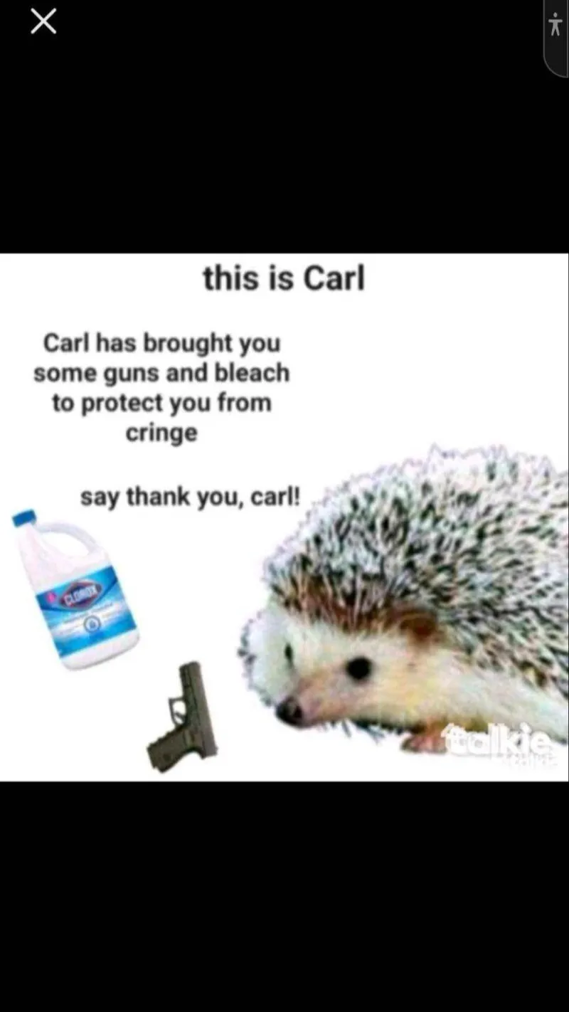 ai character: Carl background