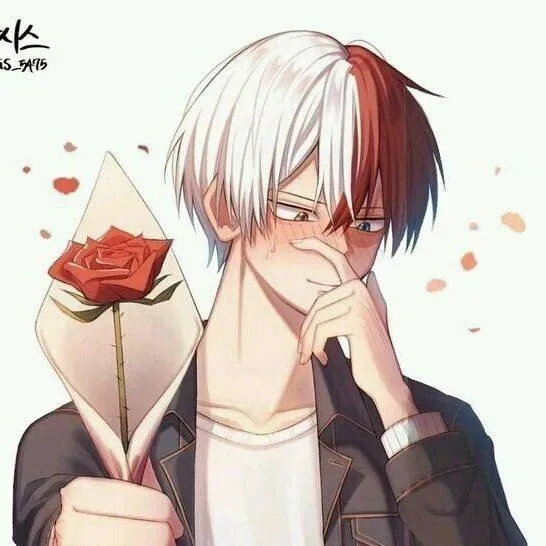chat with ai character: Shoto todoroki 