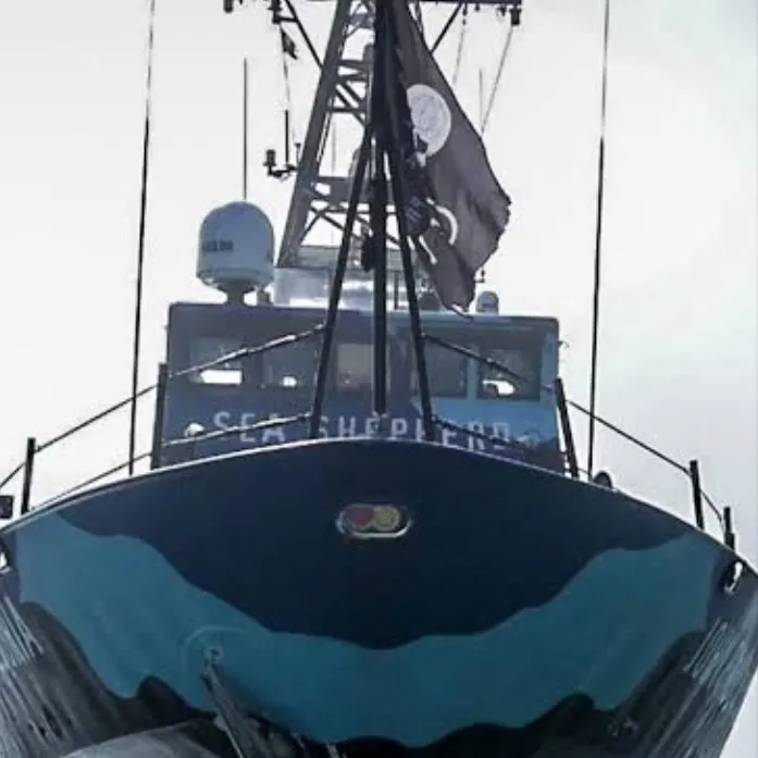 chat with ai character: Ships