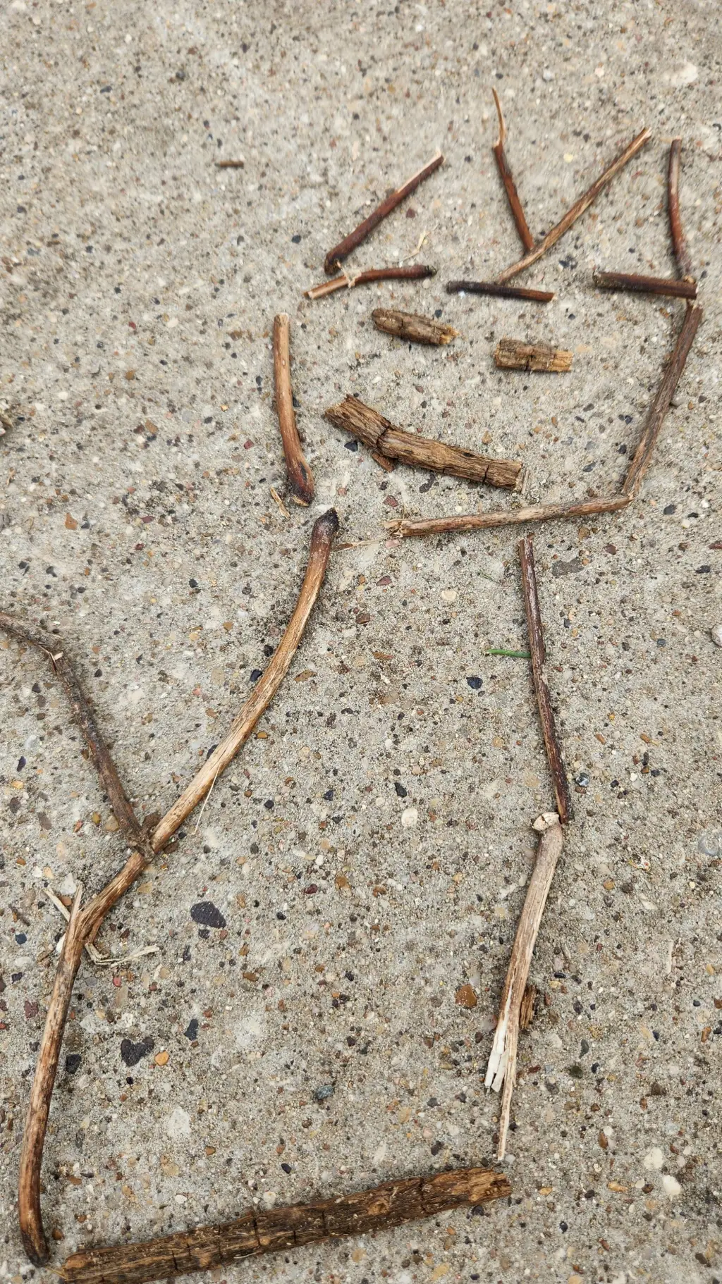Talkie AI - Chat with STICK CAT