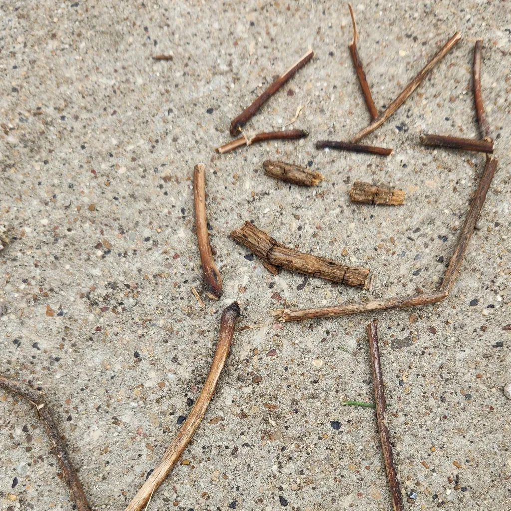 chat with ai character: STICK CAT