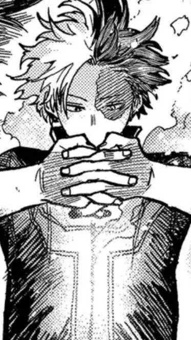ai character: Shoto Todoroki background