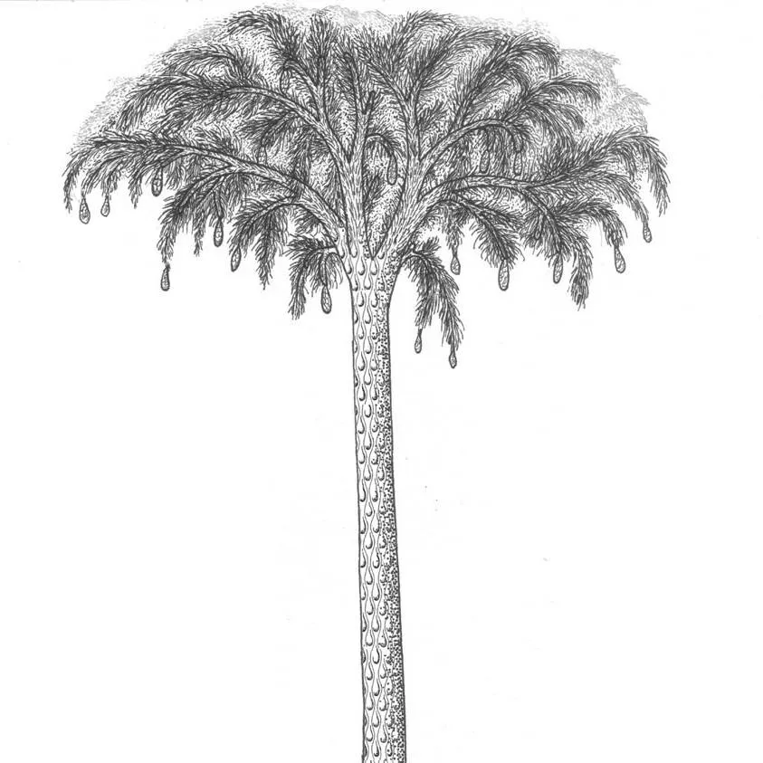 chat with ai character: Lepidodendron Tree