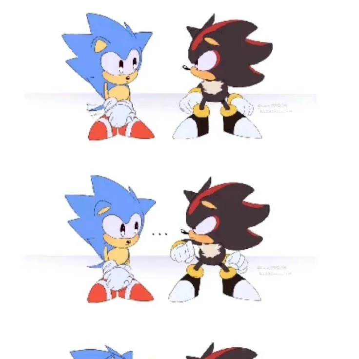 chat with ai character: Sonic and Shadow