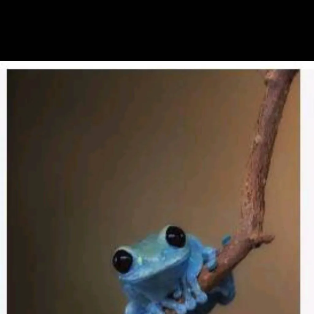 chat with ai character: Froggy