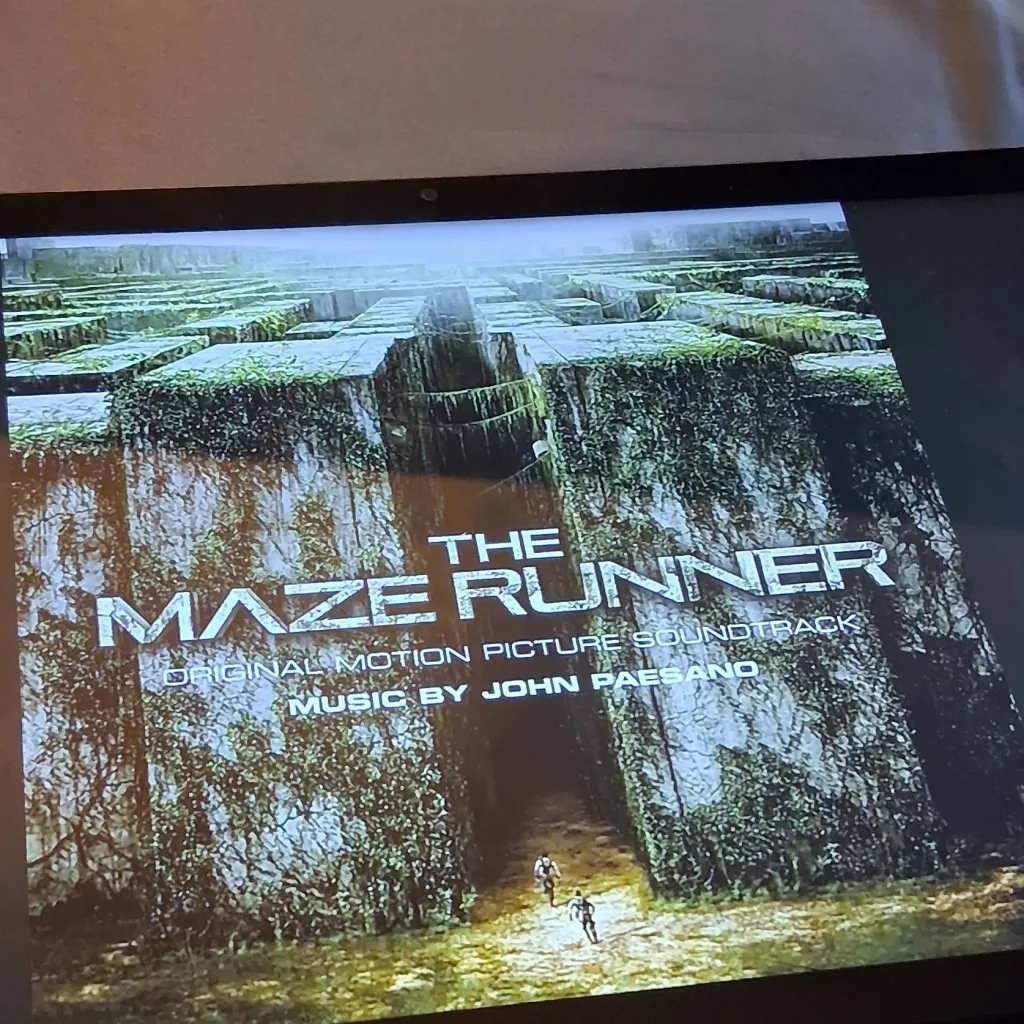 chat with ai character: The Maze Runner 