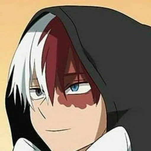 chat with ai character: Shoto Todoroki-Mha