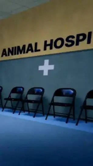 Talkie AI - Chat with Hospital animal