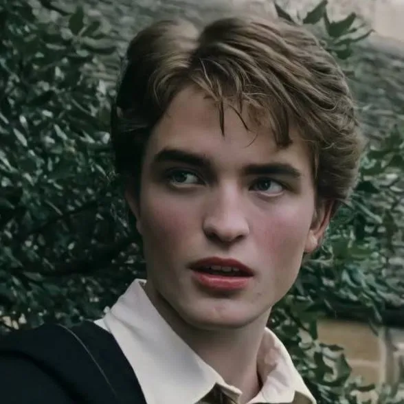chat with ai character: Cedrick diggory 