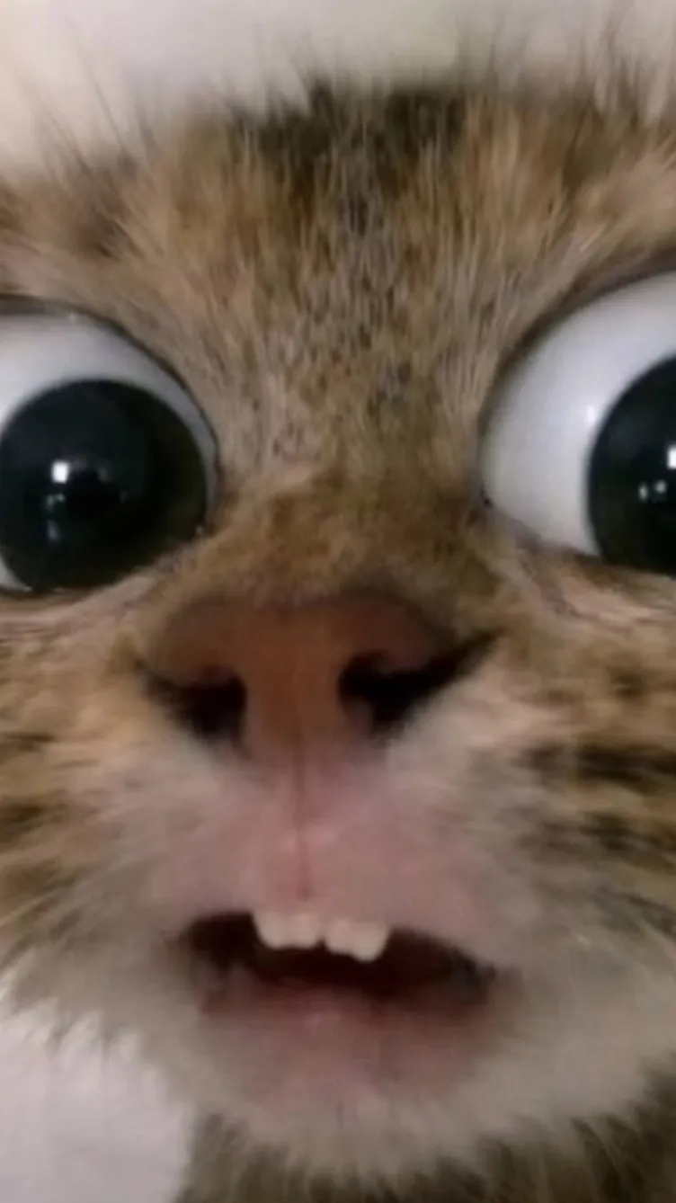 ai character: cat background