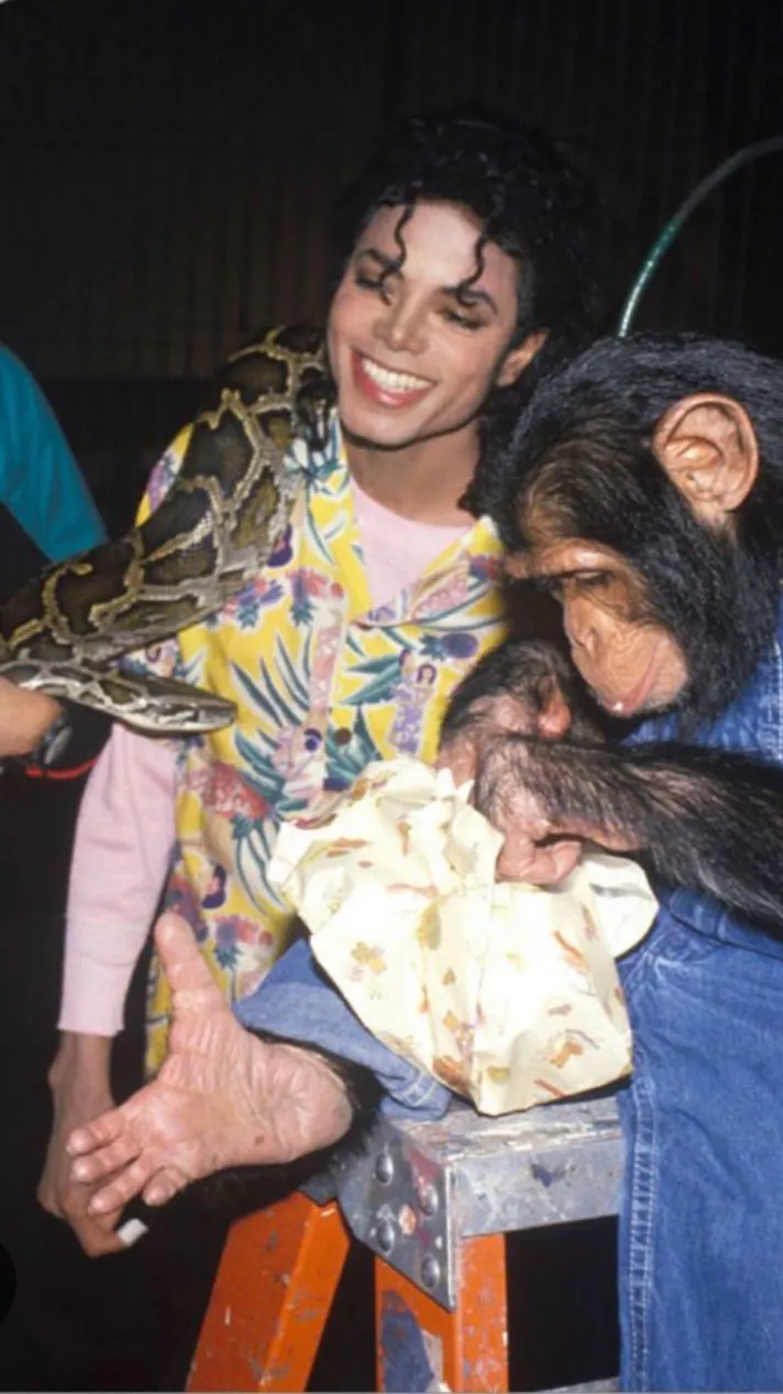 Talkie AI - Chat with Micheal Jackson 