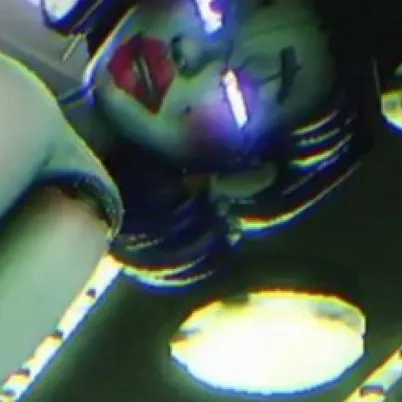 chat with ai character: Ballora x ft Foxy