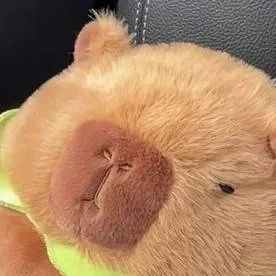 chat with ai character: capybara