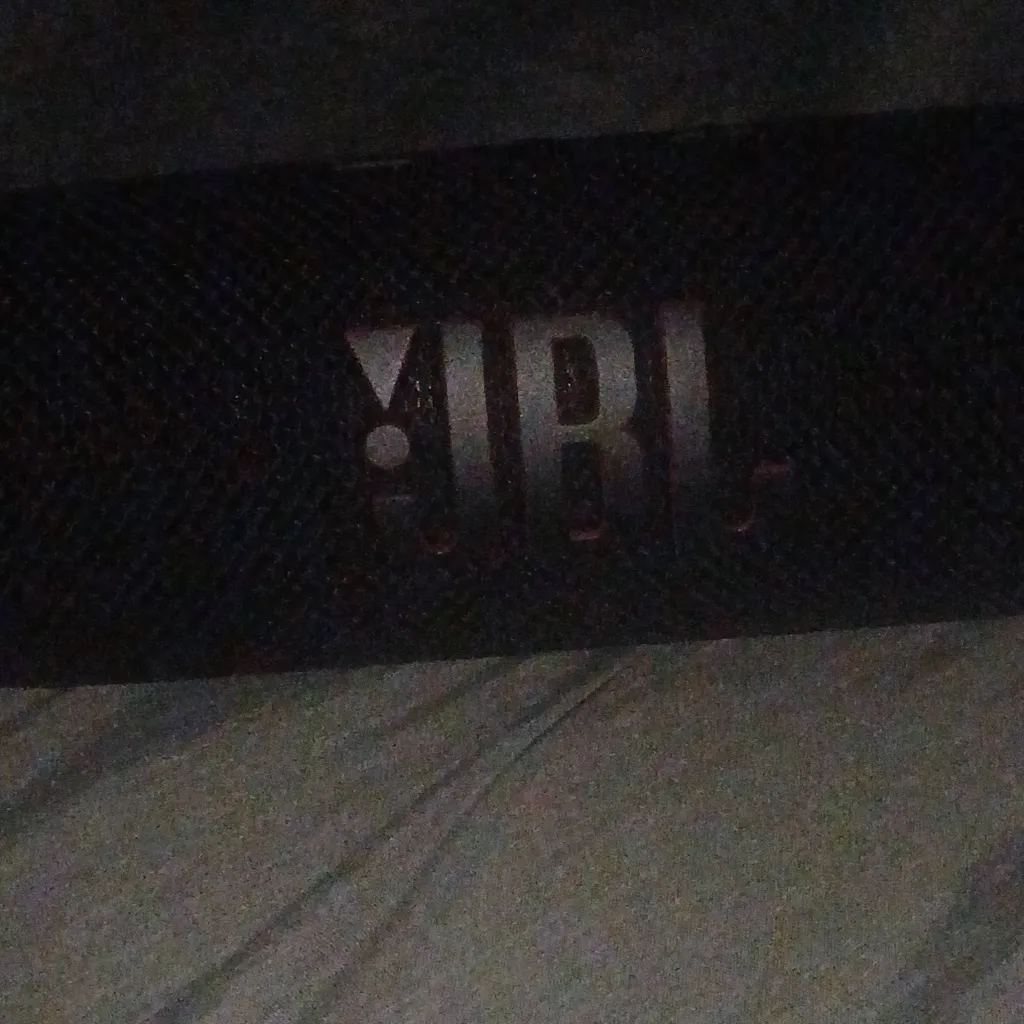 chat with ai character: jbl flip 7 pet
