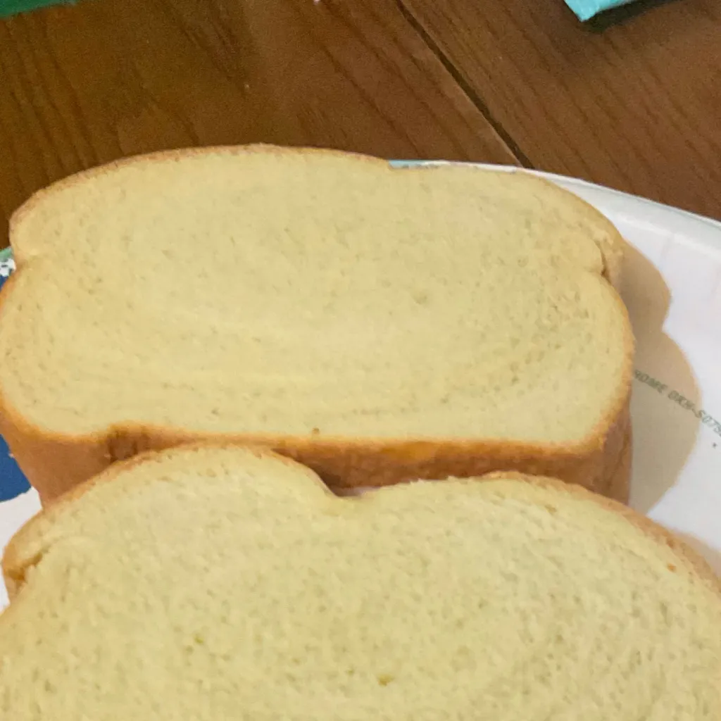 chat with ai character: Sandwich