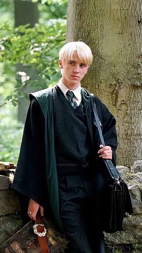 chat with ai character: Draco