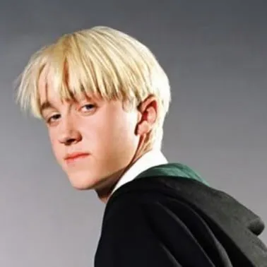 chat with ai character: Draco
