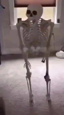 ai character: skelly background